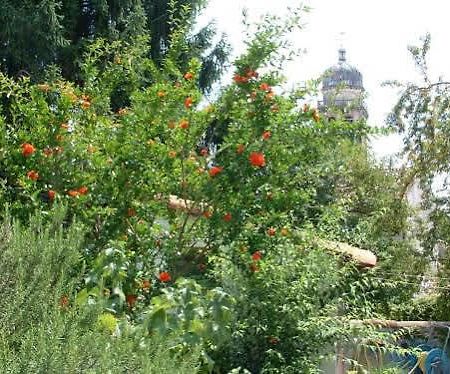 Apartmán Casa Vacanze Alleantichemura Conegliano Exteriér fotografie