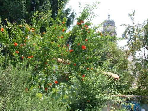 Apartmán Casa Vacanze Alleantichemura Conegliano Exteriér fotografie